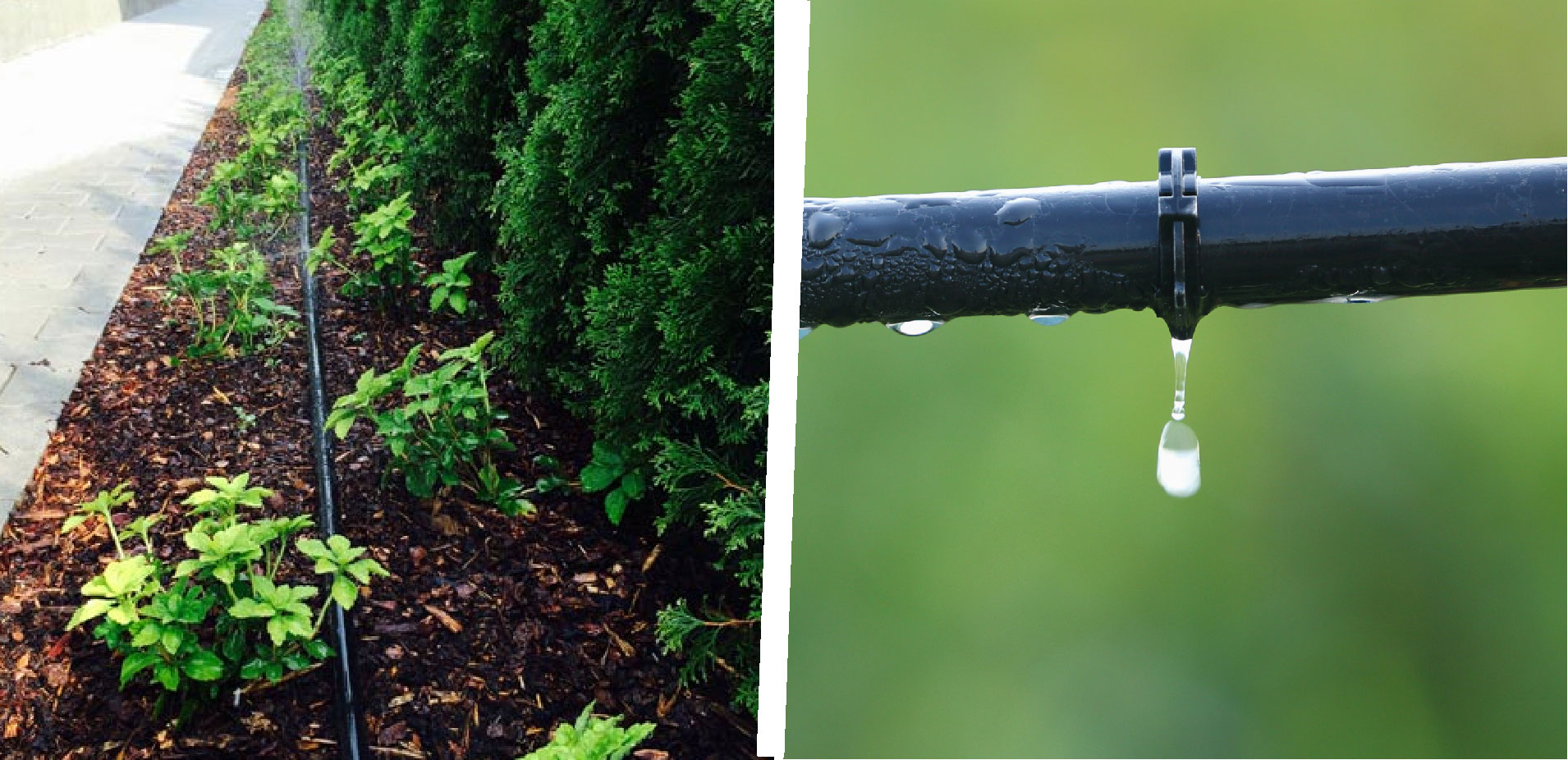 Tröpfchen- & Pflanzenbewässerung